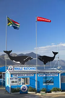 Images Dated 10th October 2017: Whale watching boat company, Hermanus, Western Cape, South Africa