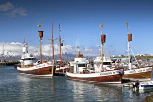 Whale Watching Boats, Husavik, Iceland