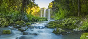 Images Dated 2nd September 2021: Whangarei Falls, Whangarei, Northland, New Zealand, Australasia