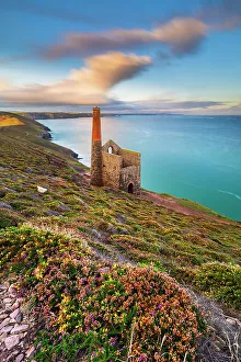 Roof Prints: Wheal Coates and Chapel Port Mine during flowering