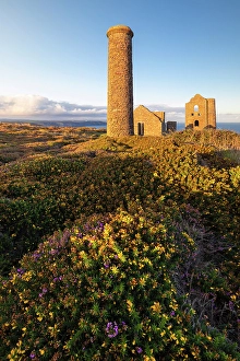 Heather Prints: Wheal Coates and Chapel Port Mine during sunrise, Saint Agnes, Cornwall, England, UK