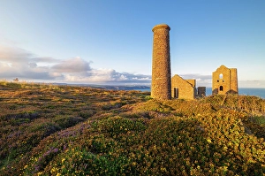 Heather Prints: Wheal Coates and Chapel Port Mine during sunrise, Saint Agnes, Cornwall, England, UK