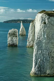 Images Dated 7th February 2023: White Cliffs, Isle of Purbeck, Jurassic Coast, Dorset, England