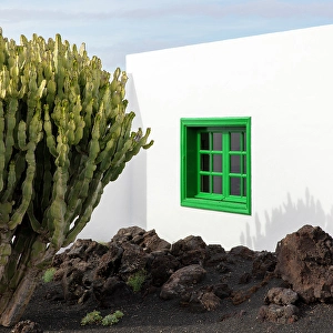 Lanzarote Prints: White house and cactus on volcanic ground, , Tahiche, Lanzarote, Canary Islands, Spain