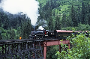 Railway Bridge Prints: White Pass steam train commemorating the Ton of Gold