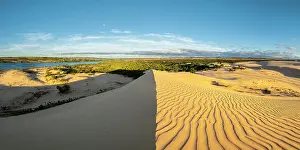 Dunes Prints: White Sand Dunes, Mui Ne, Binh Thuan Province, Vietnam