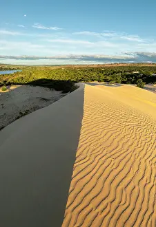 Dunes Prints: White Sand Dunes, Mui Ne, Binh Thuan Province, Vietnam