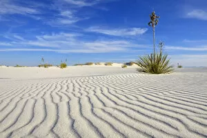 Images Dated 18th September 2014: White Sands National Monument, New Mexico, USA