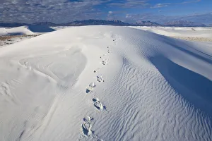 Images Dated 28th May 2008: White Sands National Monument, New Mexico, USA