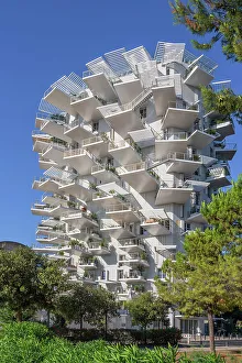 Images Dated 12th December 2022: The White Tree at river Lez by architects Sou Fujimoto, OXO, Nicolas Laisne and Dimitri Roussel