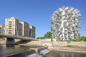 Images Dated 12th December 2022: The White Tree at river Lez by architects Sou Fujimoto, OXO, Nicolas Laisne and Dimitri Roussel