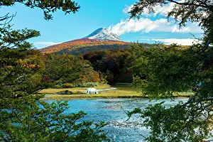 Moutnains Prints: A white wild horse by a river near Ushuaia in Tierra del Fuego, Argentina