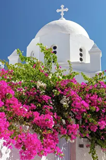 Aegean Prints: Whitewashed church and bougainvillea