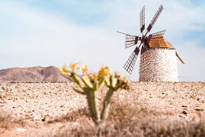 Wind Turbine Prints: Whitewashed windmill in the desert landscape, Tefia, Fuerteventura, Canary Islands, Spain