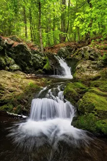 Brook Prints: Whittier Falls, Brook Walk, Moultonborough, New Hampshire, USA