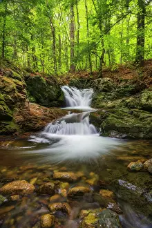 Riverbed Prints: Whittier Falls, Brook Walk, Moultonborough, New Hampshire, USA