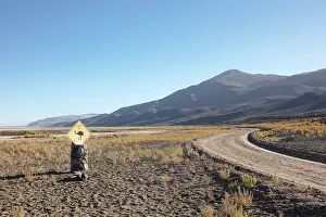 Cordillera Prints: A wild animal road sign beside a dirty road of the Antofalla Salt Flat