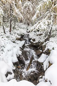 Ahrntal Gallery: Wildbach on the Klausberg in Ahrntal, South Tyrol, Italy