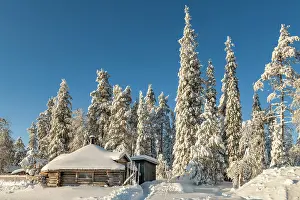 Posio Prints: Wilderness Cafe Tykky & Snow-covered Pine Trees