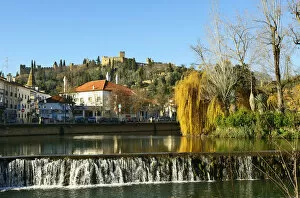 Images Dated 23rd February 2017: A willow tree over the Nabao river and the Templar castle on the top of the hill. Tomar