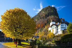 Images Dated 15th November 2018: Wimmis castle, Berner Oberland, Switzerland