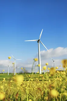 Energy Prints: Wind energy plant and crowfoot meadow - Denmark, Jutland, Sydthy, Hurup, Vestervig