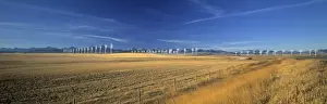 Turbines Prints: Wind farm, Crowsnest Pass, Cowley, Alberta, Canada