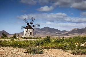 Tefia Prints: Wind mill, Molino de Tefia, Tefia, Fuerteventura, Canary Islands, Spain