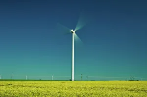 Wind Turbines Prints: Wind turbines and canola crop Somerset, Manitoba, Canada
