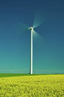 Wind Turbines Prints: Wind turbines and canola crop Somerset, Manitoba, Canada