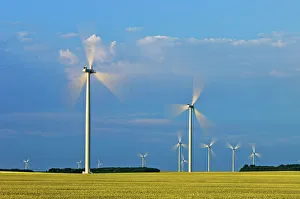 Wind Turbines Prints: wind turbines and canola crop Somerset, Manitoba, Canada