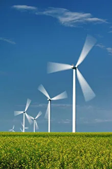 Wind Turbines Prints: Wind turbines and canola crop Somerset, Manitoba, Canada