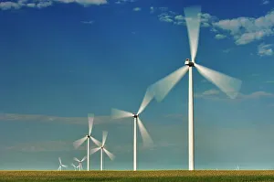 Wind Turbines Prints: Wind turbines and canola crop Somerset, Manitoba, Canada