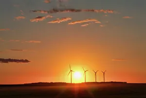 Wind Turbines Prints: Wind turbines at sunset Somerset, Manitoba, Canada
