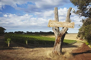 Western Australia Collection: Windance wine estate, Margaret River, Western Australia, Australia