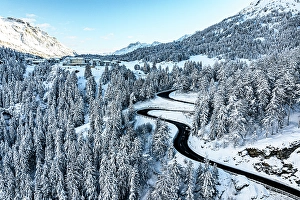 Spruce Tree Prints: Winding mountain road, Maloja pass, Bregaglia, Graubunden, Engadin, Switzerland