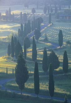 Winding Road