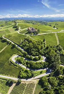 Curves Prints: Winding road leading to the Castello di La Volta. Barolo, Barolo wine region, Langhe