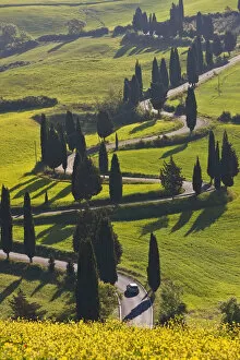 Images Dated 24th February 2010: Winding Road, Monticchiello, Tuscany, Italy