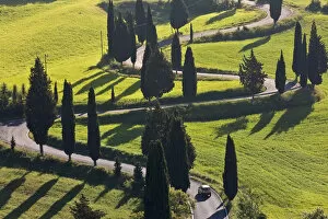 Mediteranean Country Gallery: Winding Road, Monticchiello, Tuscany, Italy