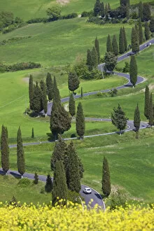 Images Dated 15th March 2010: Winding Road, Monticchiello, Tuscany, Italy