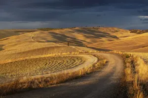 Montalcino Prints: A winding road and rolling hills during a brief moment of light at sunset before the storm rolled