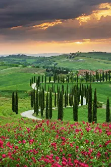 Civita Di Bagnoregio Prints: Winding road on the rolling hills of Tuscany near Asciano in Siena district, Italy