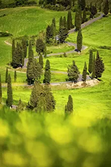 Civita Di Bagnoregio Prints: Winding road on the rolling hills of Tuscany near Asciano in Siena district, Italy