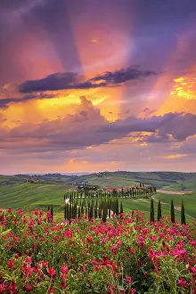 Civita Di Bagnoregio Prints: Winding road on the rolling hills of Tuscany near Asciano in Siena district, Italy