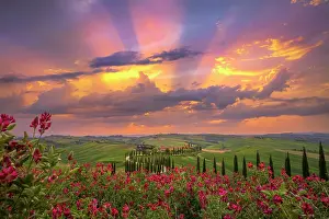 Civita Di Bagnoregio Prints: Winding road on the rolling hills of Tuscany near Asciano in Siena district, Italy