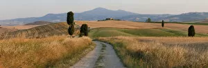 Images Dated 25th February 2011: Winding road, Val d Orcia, Tuscany, Italy