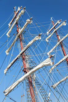 Zingst Prints: Windjammer in the Bodden harbour of Zingst