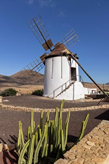 Granary Prints: Windmill on cactus farm, Antigua, Fuerteventura, Canary Islands, Spain