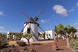 Windmill on cactus farm, Antigua, Fuerteventura, Canary Islands, Spain